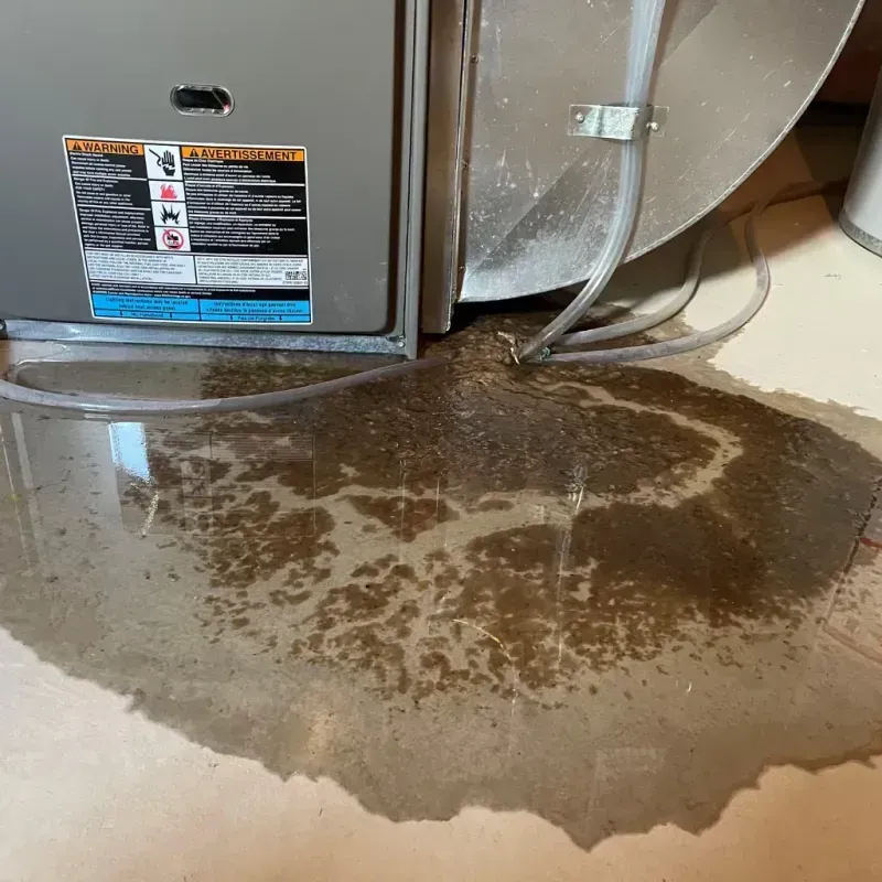 Appliance Leak Cleanup in Marshall, TX